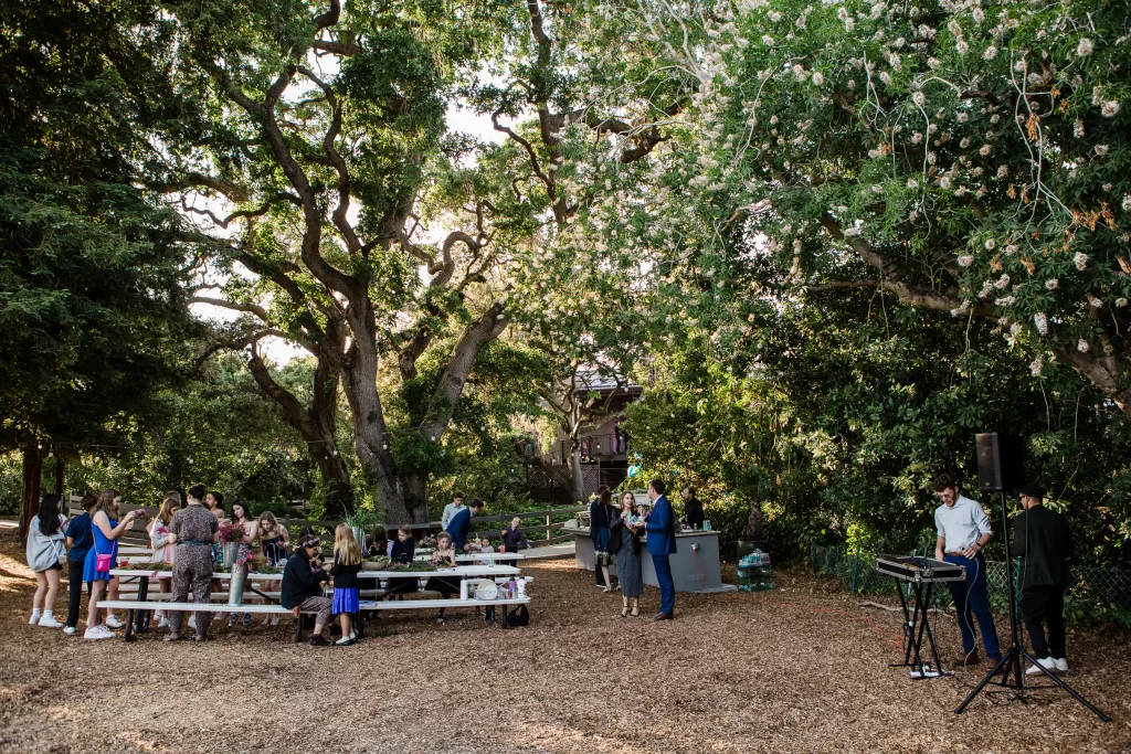 A group of people socializing at an outdoor gathering in Palo Alto, surrounded by tall, leafy trees. Some people are sitting at picnic tables for the Bat Mitzvah celebration, while others stand and chat. A few musicians perform near a keyboard setup on the right side of the image. The atmosphere is serene and festive.