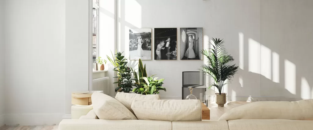 A bright living room with large windows allowing natural light. The space features a beige sectional sofa, several green plants, and three black-and-white photos on the wall, including a wedding album display. There is also a small wooden coffee table and a modern black chair.