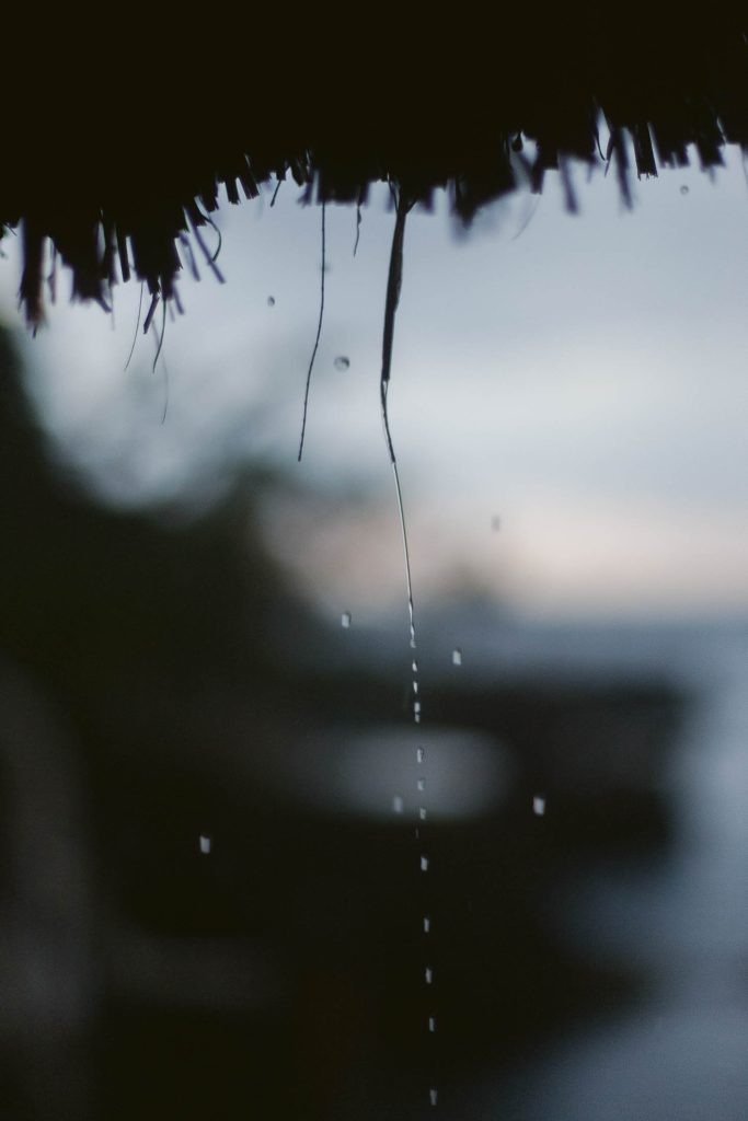 Close-up of water droplets falling from the edge of a thatched roof against a blurred, dusky outdoor background, suggesting rain or moisture. The scene appears calm and slightly moody.