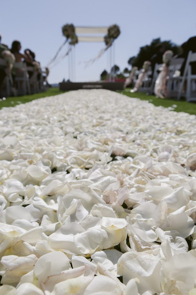 A close-up view of white rose petals scattered along an outdoor wedding aisle, with guests seated on either side and a decorated altar visible in the distance under a clear sky.