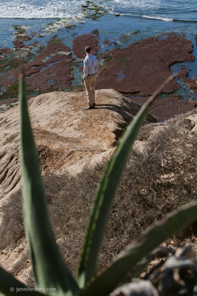 A person stands on a rocky cliff overlooking the ocean, surrounded by coastal vegetation. The foreground features pointed green leaves, while waves and seaweed are visible along the shoreline below.