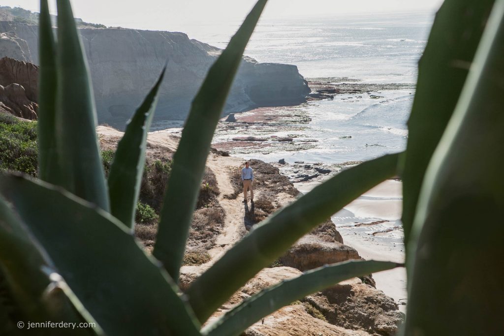 A person walks along a narrow coastal trail above rocky cliffs and ocean tide pools, framed by large, spiky agave leaves in the foreground. Sunlight glimmers on the water in the background.