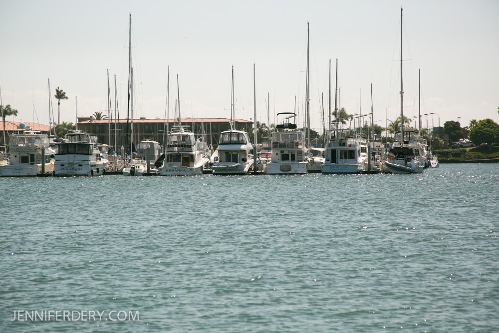 A row of docked boats and yachts lines a marina, with calm water in the foreground and palm trees, buildings, and a clear sky in the background. The text "JENNIFERDERY.COM" appears in the lower left corner.