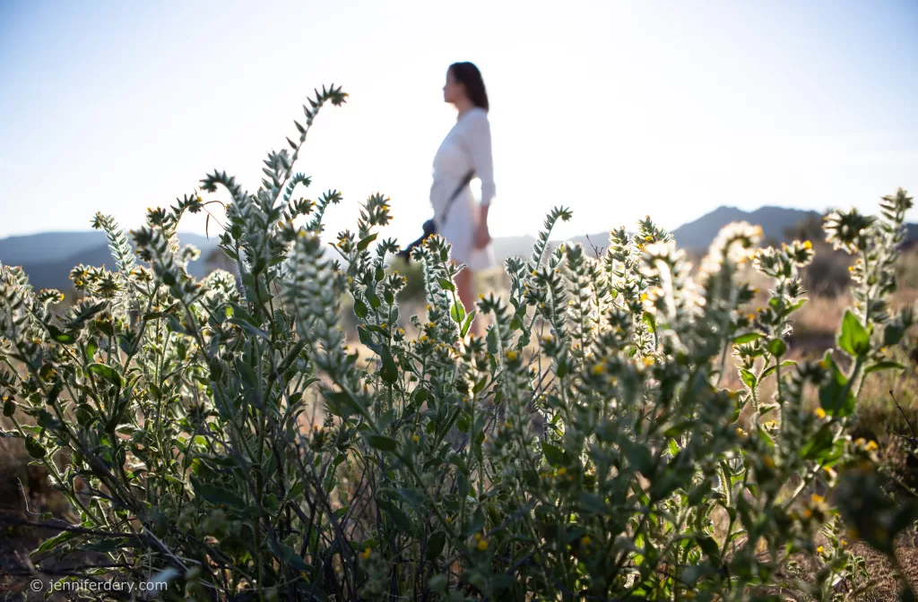 Close-up of wildflowers in the foreground with a blurred-out silhouette of a person walking in the background. The setting appears to be a sunny day in a natural area near San Diego, with mountains in the distant background. Perfect for branding photos that capture natural beauty and serenity.