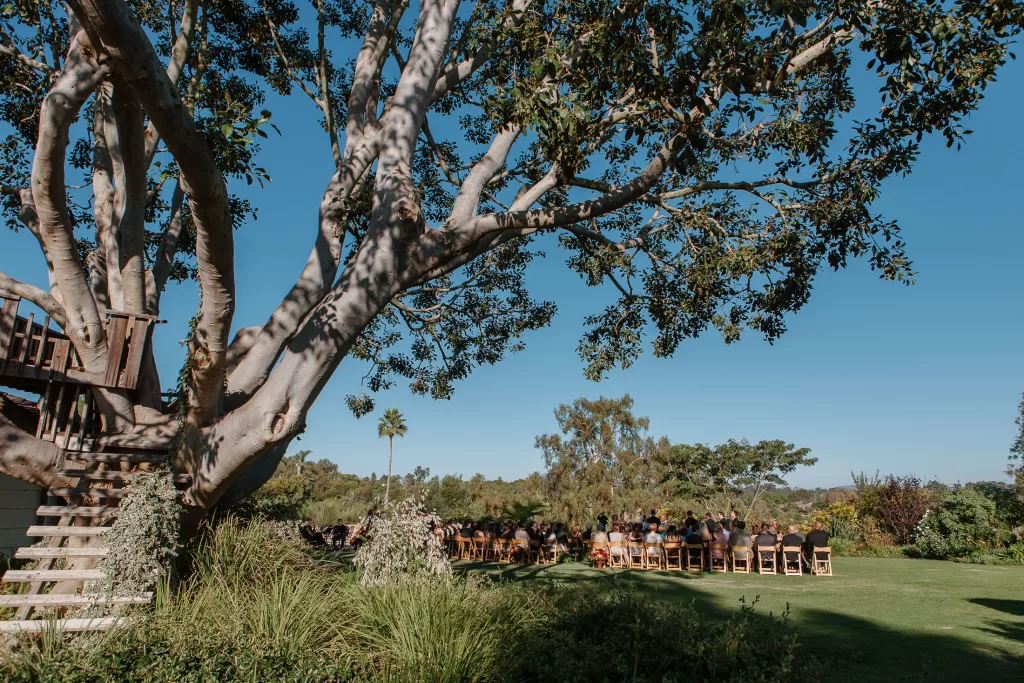 A large tree with a wooden treehouse platform stands on a lush green lawn under a clear blue sky. People are seated in rows of chairs on the lawn, facing forward, suggesting an outdoor event or gathering. The background includes more trees and greenery.