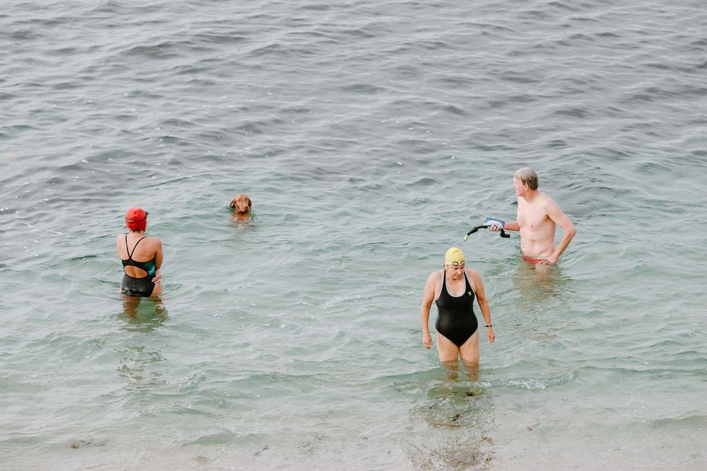 Four people, including a dog, are wading in calm, shallow ocean water. Two individuals in black swimsuits and colorful caps face the shore, while a shirtless person stands with goggles. The scene is peaceful and relaxed.
