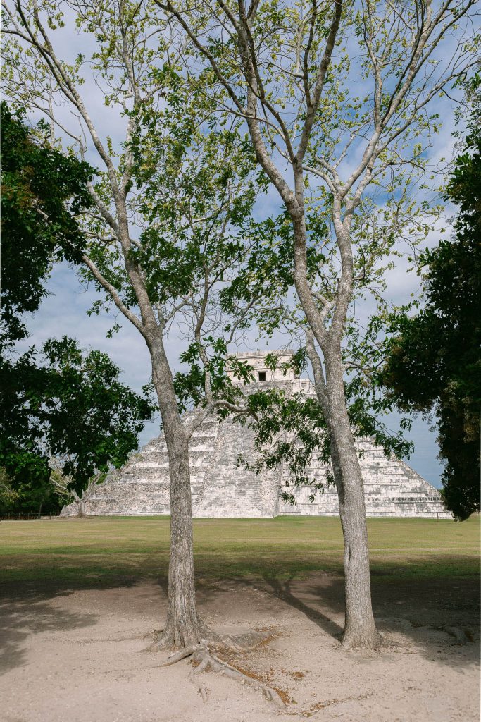 A stone pyramid stands in the background, framed by two slender trees in the foreground, with green leaves and a partly cloudy sky overhead. The setting is grassy and sunlit, enhancing the historical and natural contrast.