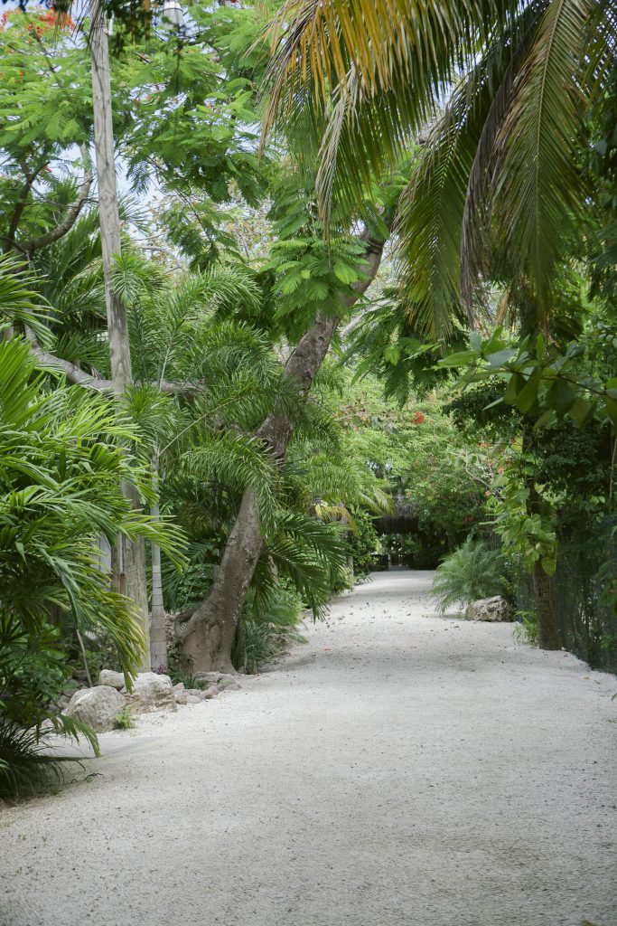 Negril, Jamaica: A sandy path at Kuyaba Beach Resort winds through lush, green tropical plants and palm trees, creating a tranquil, leafy corridor with dappled sunlight filtering through the foliage.